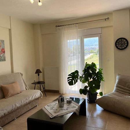 Olympian Two Floor Apartment Leptokarya  Esterno foto