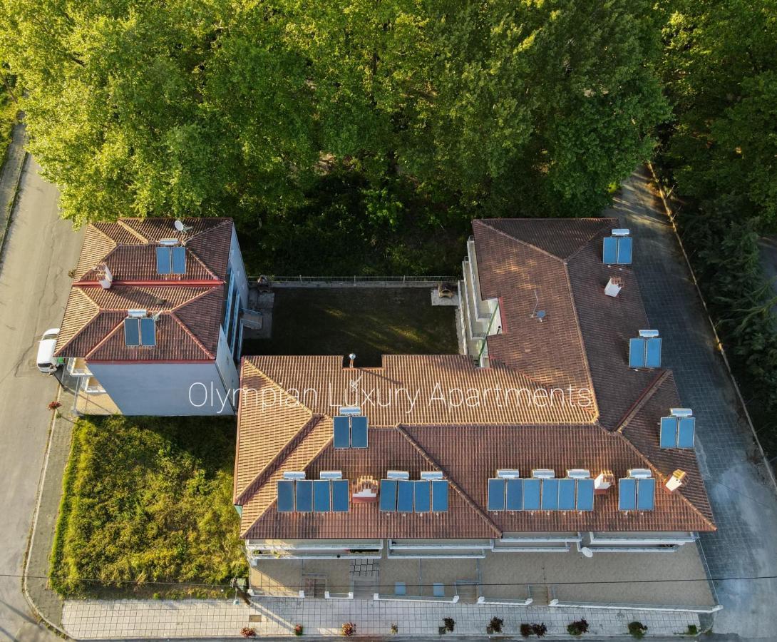 Olympian Two Floor Apartment Leptokarya  Esterno foto