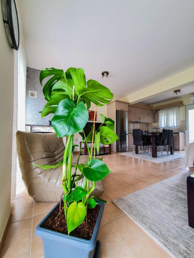 Olympian Two Floor Apartment Leptokarya  Esterno foto