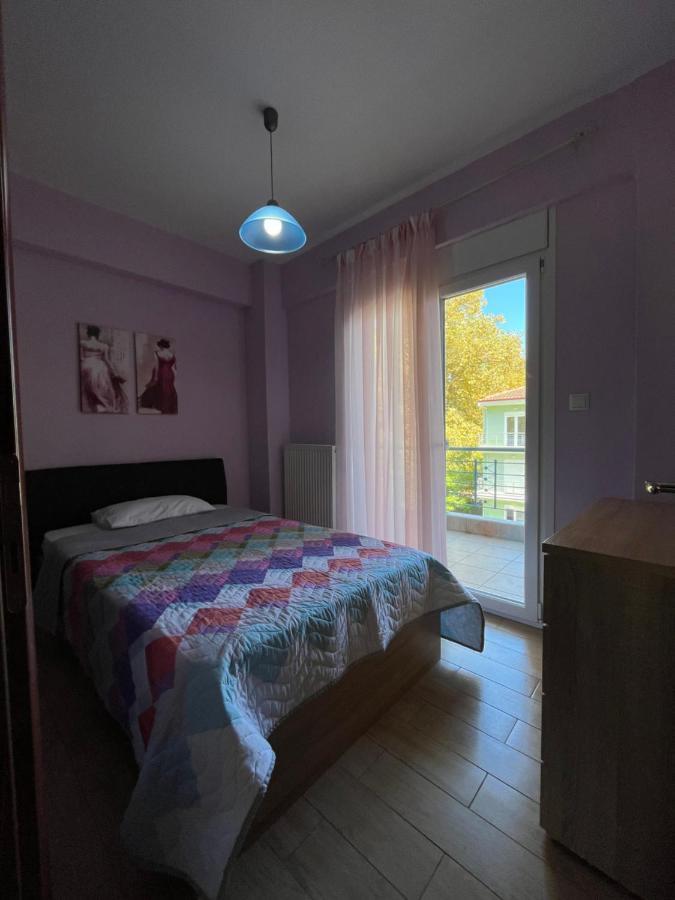 Olympian Two Floor Apartment Leptokarya  Esterno foto